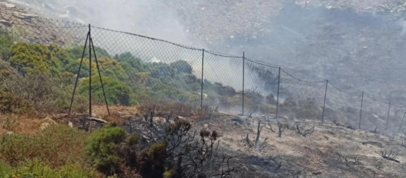 Ηράκλειο Κρήτης: Συνελήφθη ένας 65χρονος για τη φωτιά στη Λυγαριά